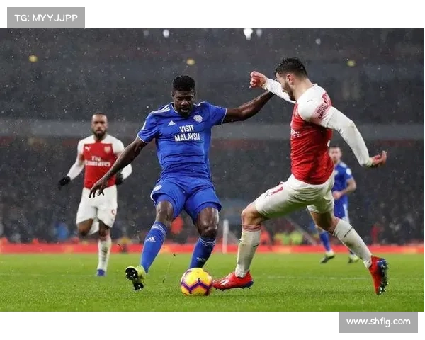 加的夫城联赛地位分析与未来发展展望